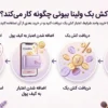 کش بک چیست و چگونه در ولینا بیوتی از آن استفاده کنیم؟