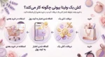تصویر اصلی مقاله کش بک